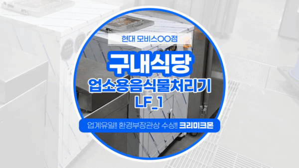 현대모비스 LF-1 설치 I