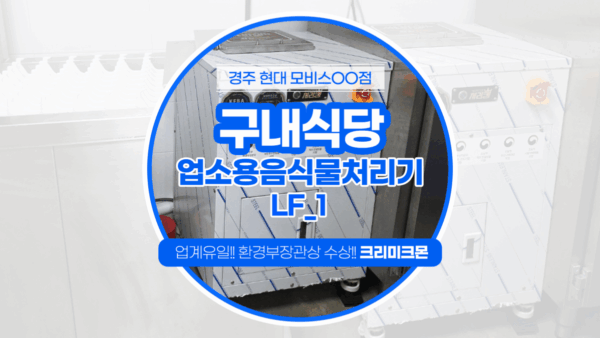 현대모비스 LF-1 설치 II